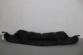 CH1228155 DODGE Front Car Shield Challenger #2