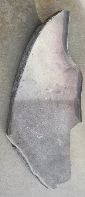 3928822 GM Rear Quarter Panel Rh Splash Shield Corvette #2