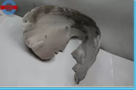 HJA4570AL JAGUAR Xkr Front Right Fender Liner Splash Shield #3