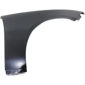 196649083518 KARPARTS360 Charger Front Fender Passenger Capa