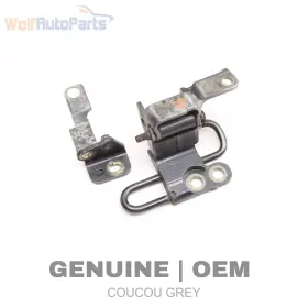 3D4831411B VOLKSWAGEN Phaeton Front Left Lower Door Hinge Vw