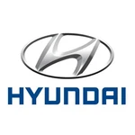 Genuine Hyundai Engine Oil Drain Plug Access Cover 84291-l1000. Fixed Price $38.89.