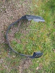 Mercedes-benz W140 Right Side Front Inner Wheel Arch. Fixed Price $67.28.