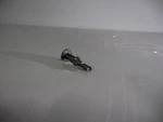 Genuine Toyota Bumper Cover Retainer 47749-06010. Fixed Price $8.11.