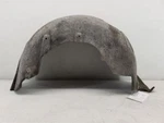 14-17 Infiniti Qx70 Passenger Side Fender Rear Liner Oem 76748-1ca0a. Fixed Price $97.99.