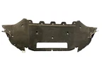 Lamborghini Huracan Lp640-4 Performante Front Underbody Splash Shield Panel. Fixed Price $721.66.