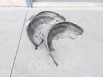 09-14 Mini Cooper Clubman Rear Fender Liners Lh Rh Oem Used. Fixed Price $120.00.