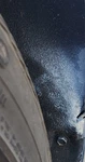 Quarter Panel Splash Shield Rear Right - Toyota. Fixed Price $65.00.