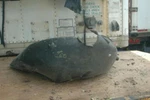 C -68 Bmw 51717136681 Oem Used Fender Liner Left Rear 173701-10 51-71-7-136-681. Fixed Price $58.80.