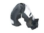 Dp11041 Ford Mustang Mach-e Gt 2022 2023 2024 Front Rh Fender Liner Oem. Fixed Price $169.99.