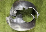 2005-2012 Porsche 987 Cayman Boxster Front Rearward Fender Left Right Liner Oem. Fixed Price $140.00.