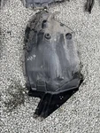 Bmw M3 G80 G81 M4g82 G83 Front Splash Guard Cover Wheel Housing Left 51718070521. Fixed Price $101.95.