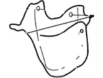 Genuine Ford Panel Assembly Wheelhouse Inner Xl3z-16a550-bb. Fixed Price $31.49.