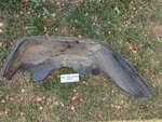 Genuine Mercedes G-class W463 G63 Left Front Wheel Inner Arch Liner A 4638840022. Fixed Price $139.92.