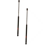 Set-trwtsg303078-2 Trw Liftgate Lift Supports Set Of 2 Driver & Passenger Pair. Fixed Price $59.67.