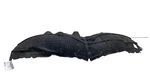 20-24 Tesla Model Y Rear Right Wheel Fender Liner Splash Shield 1492616-00-b. Fixed Price $161.36.