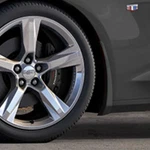 Genuine Gm Mud Guard 23319130. Fixed Price $118.95.