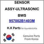957002b1403m Hyundai Sensor Assy-ultrasonic Bws New Genuine Oem Part. Fixed Price $68.99.
