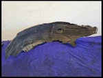 2018-2023 Ford Mustang S550 Driver Left Lh Rear Fender Liner Splash Shield. Fixed Price $59.99.