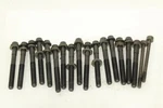 1999 2000 2001 2002 Toyota 4runner Engine Cylinder Head Bolts 16 Pieces 5vzfe. Fixed Price $16.00.